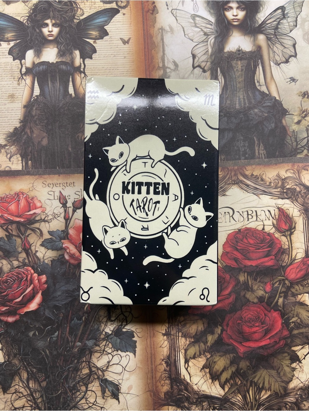 Kitten Tarot Card Deck — Black and Cream